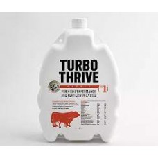 Turbo Thrive